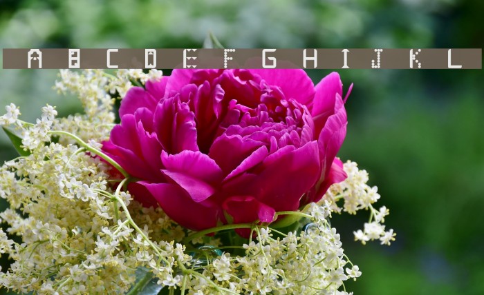 SamOnt Regular Example 3