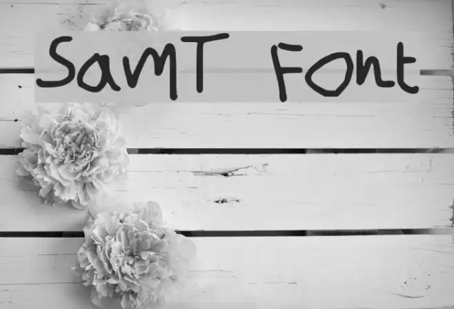 SamT Font examples
