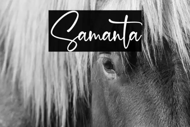 Samanta Font examples