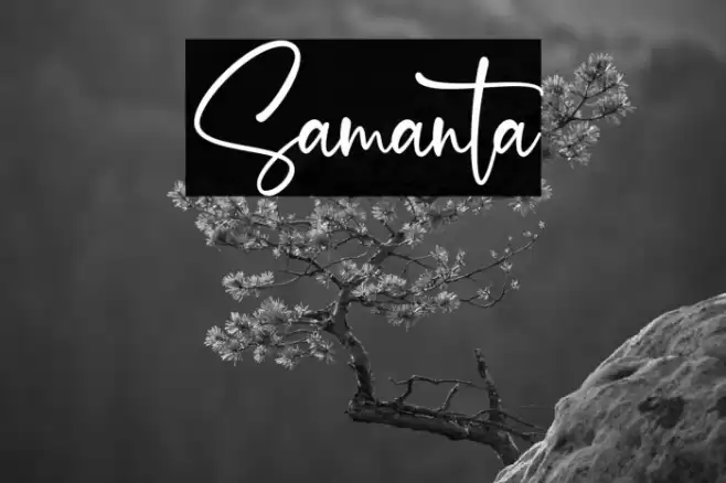 Samanta Font examples