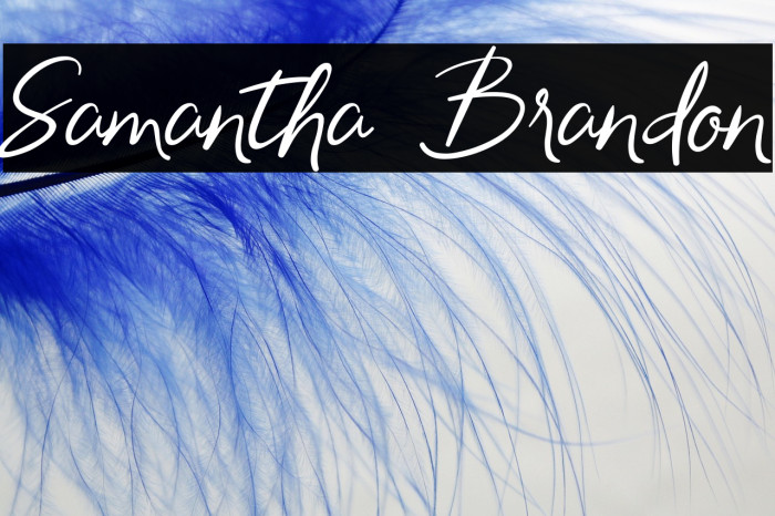 Samantha Brandon Example 2