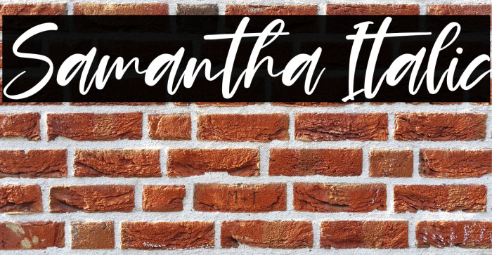 Samantha Italic Example 1