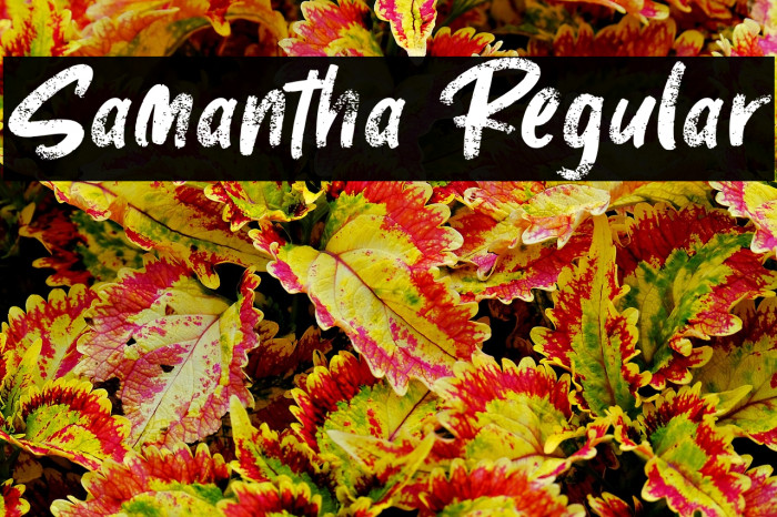 Samantha Regular Example 2