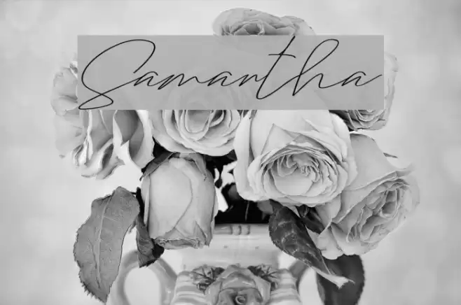 Samantha Font examples