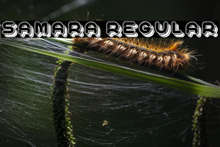 Samara Regular Example 1