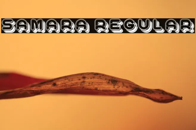 Samara Regular Example 2
