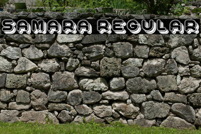 Samara Regular Example 3