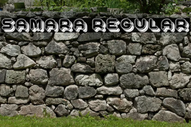 Samara Regular Example 3