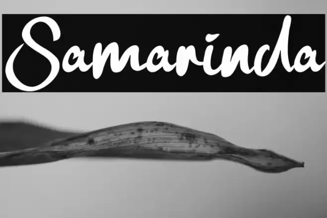 Samarinda Schriftart examples