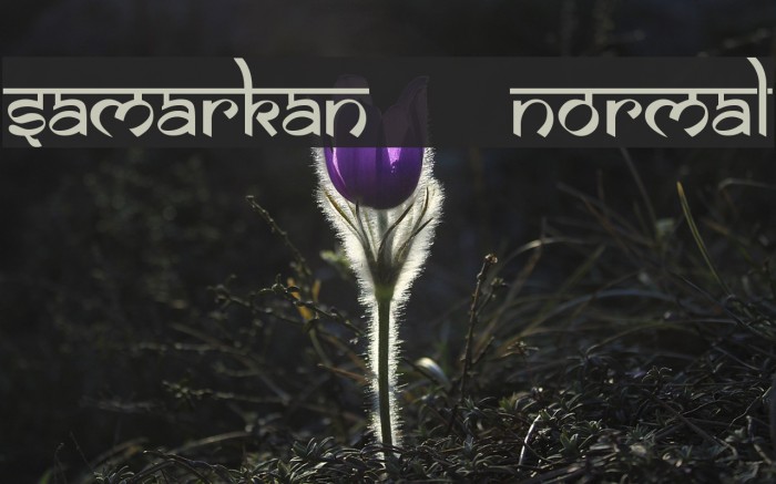 Samarkan Normal Font examples