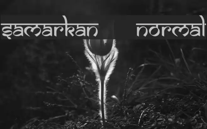 Samarkan      Normal Font examples