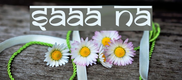 Samarkan Normal Font examples