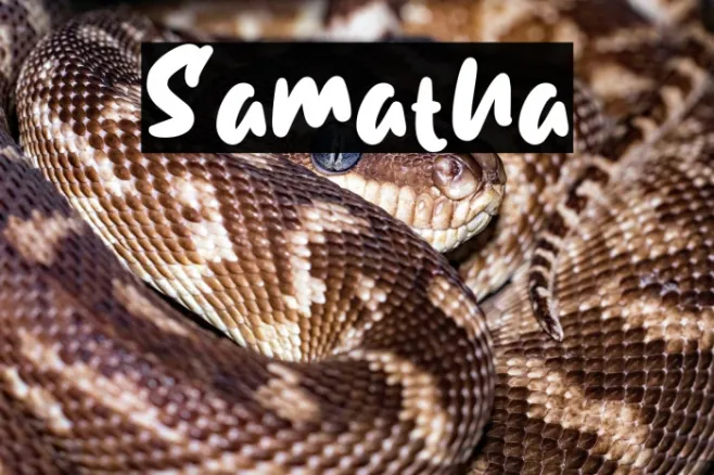 Samatha Example 2