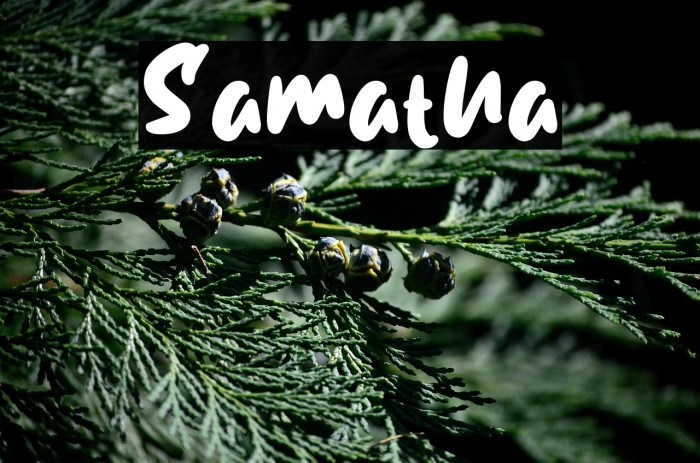 Samatha Example 3