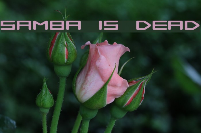Samba is Dead Font examples