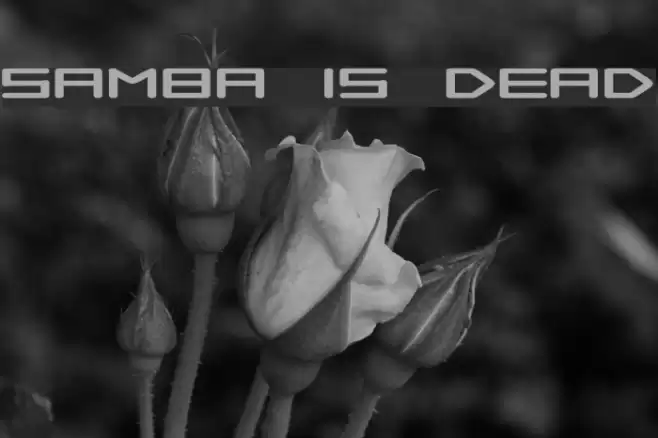 Samba is Dead خط examples