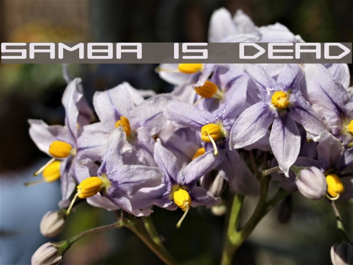 Samba is Dead Font examples