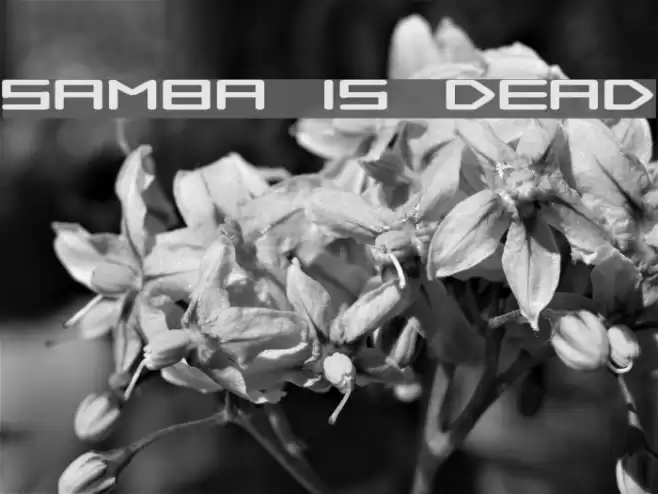 Samba is Dead خط examples