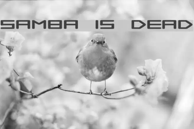 Samba is Dead خط examples