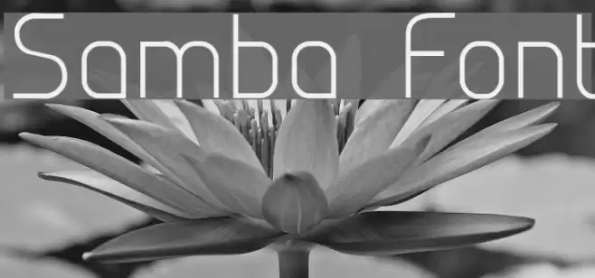 Samba Font examples