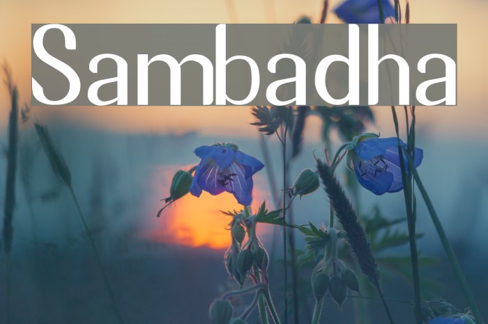 Sambadha Font examples