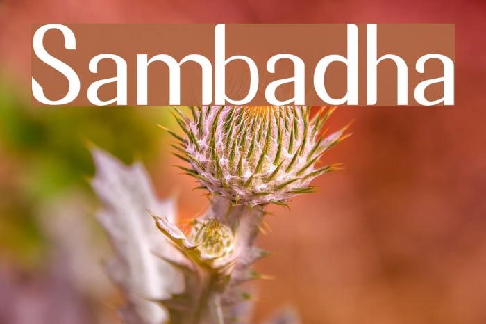 Sambadha Font examples