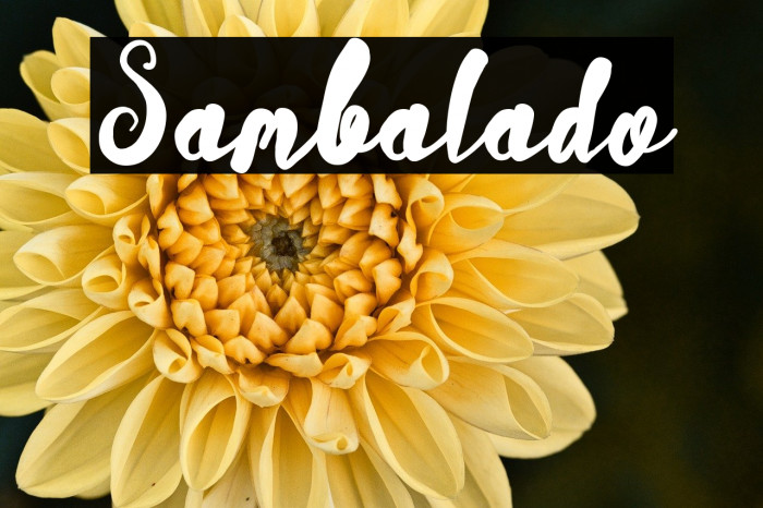 Sambalado Example 3