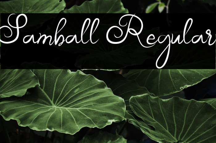 Samball Regular Example 1