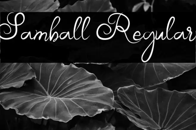Samball Regular Font examples