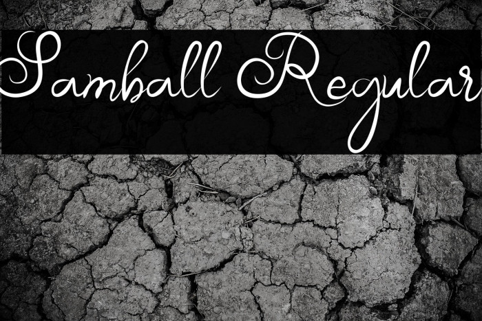 Samball Regular Example 2