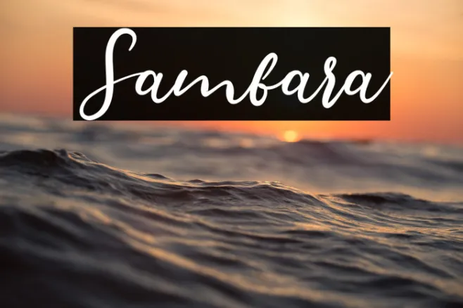 Sambara Example 3