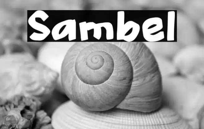 Sambel フォント examples