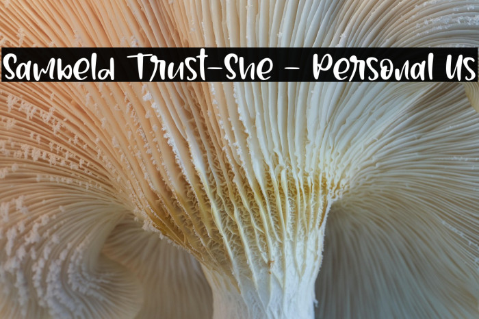 Sambeld Trust-She - Personal Us Example 3