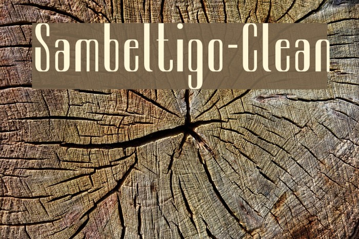 Sambeltigo-Clean Example 1