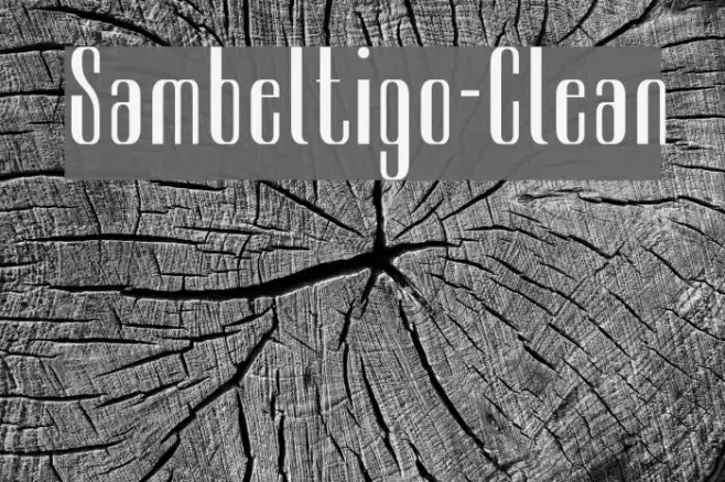 Sambeltigo-Clean Font examples
