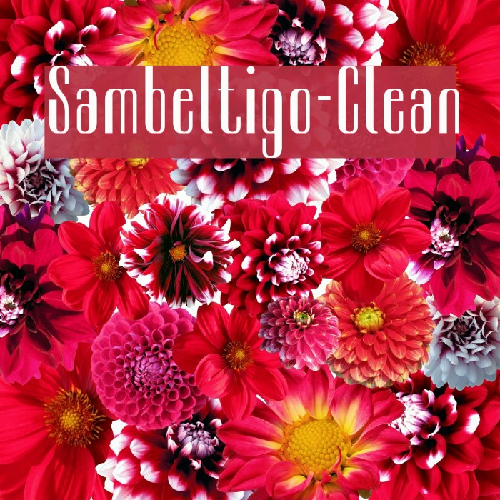 Sambeltigo-Clean Example 3