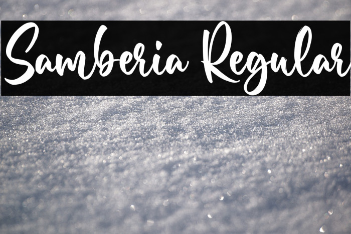 Samberia Regular Example 3