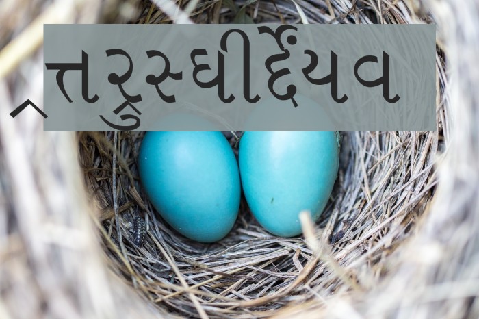 Sambhaav Font examples