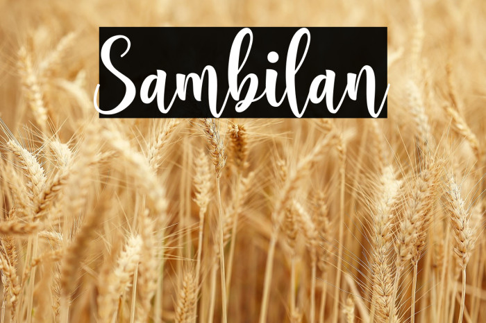 Sambilan Example 1