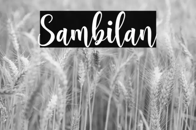 Sambilan Font examples