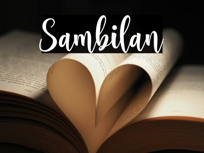 Sambilan Example 2