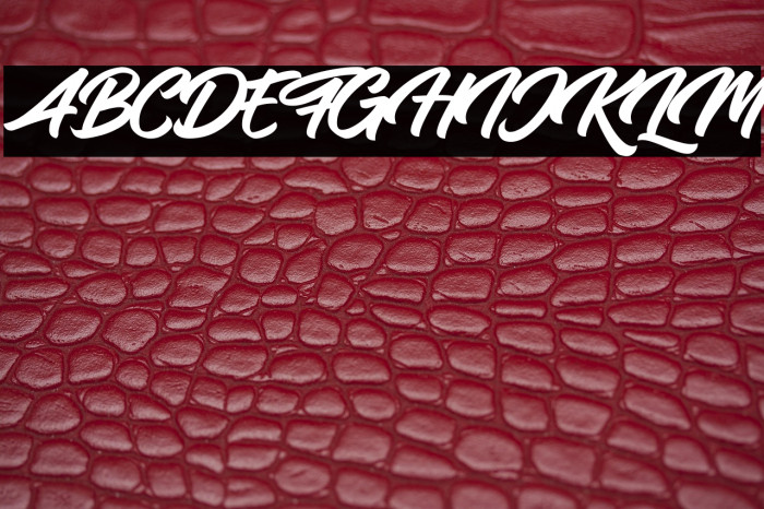 Samble Tracie Bold Example 1