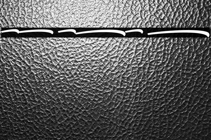 Samble Tracie_Swash Bold Example 1