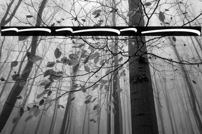 Samble Tracie_Swash Bold Font examples