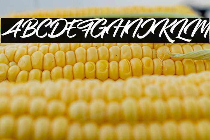 Samble Tracie Example 1