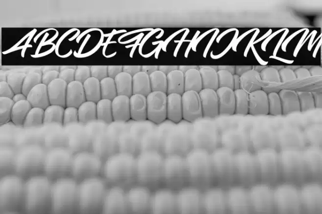 Samble Tracie Font examples