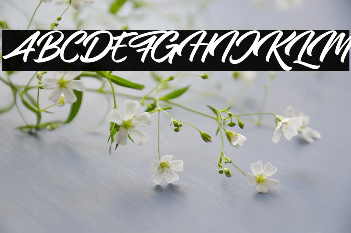 Samble Tracie Example 3