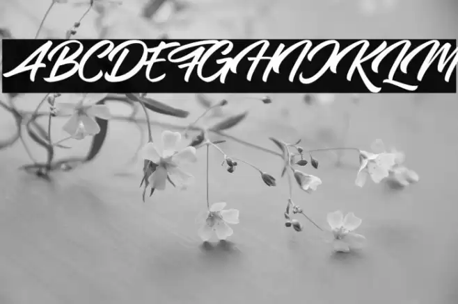 Samble Tracie Font examples