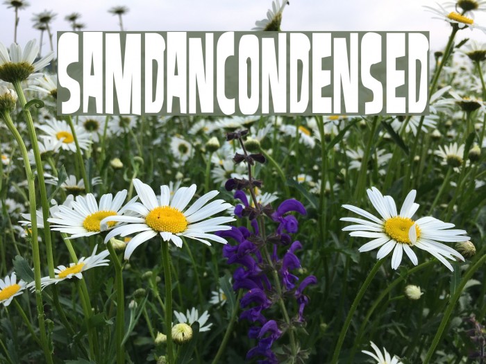 SamdanCondensed Fonte examples
