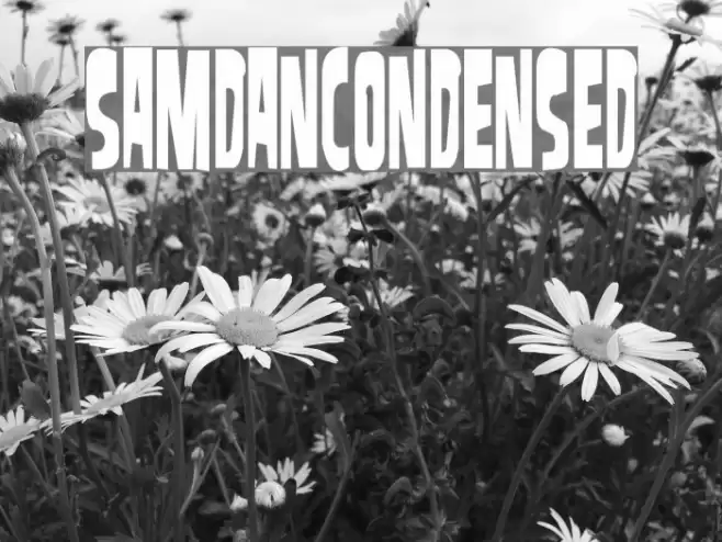 SamdanCondensed Font examples